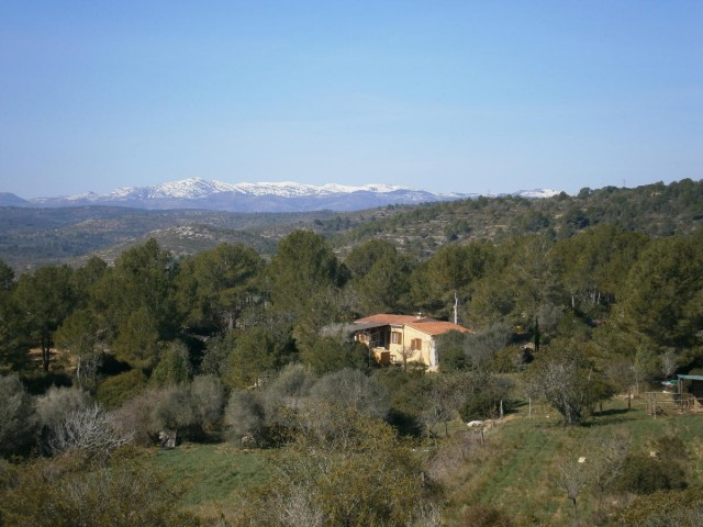vista general de la finca